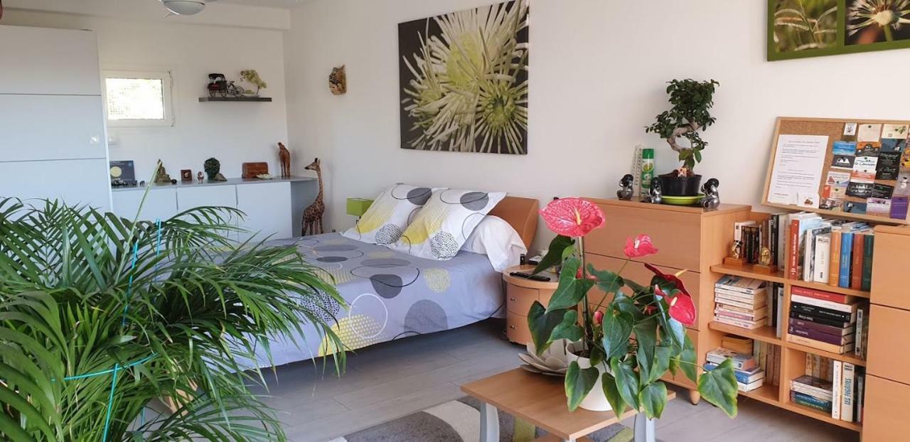 Chambres D'Hotes Chez Pat Et Nanou Six-Fours-les-Plages Eksteriør billede